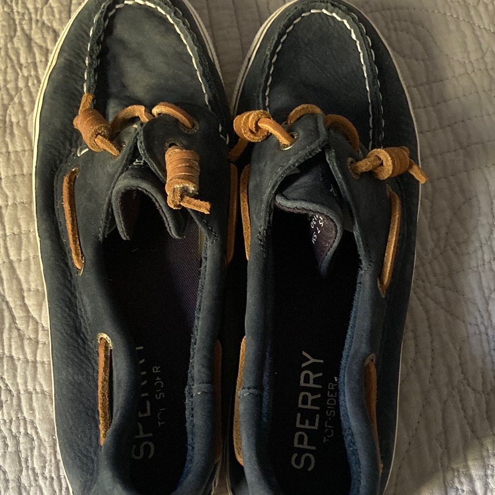 Sperry Navy and Brown Boat Shoes
